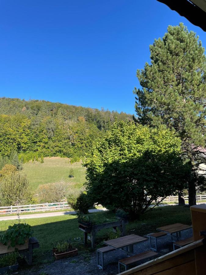 Dorfpension Mariahilfberg Gutenstein Екстер'єр фото