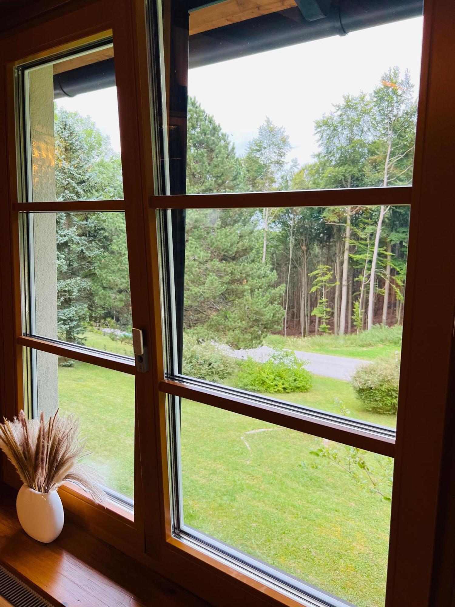 Dorfpension Mariahilfberg Gutenstein Екстер'єр фото